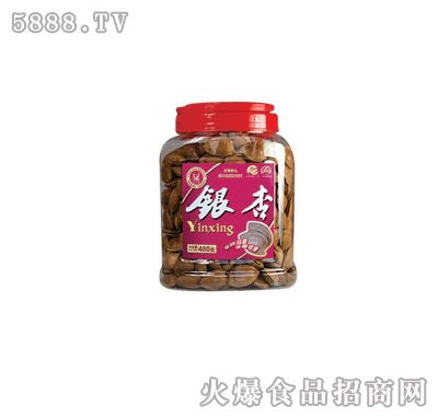 ζyӣޣ-480g