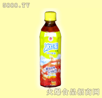 Ⱥdt500ml