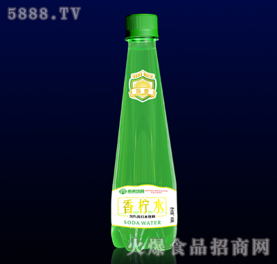 㙎ˮ450ml