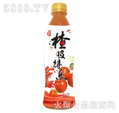 Øɽ髹֭350ml