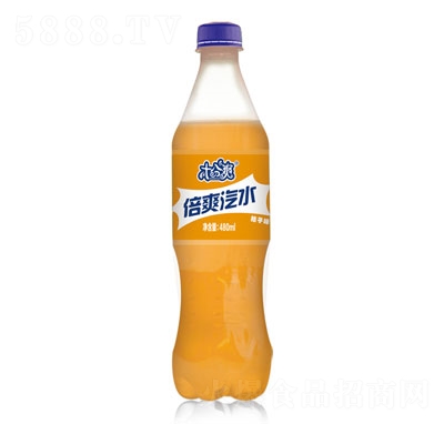 ʮˬˬˮζ480ml